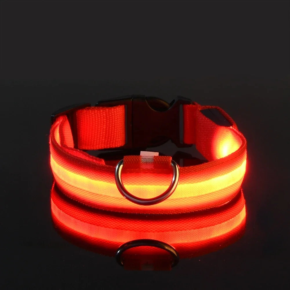 Glow In The Dark Dog Collar