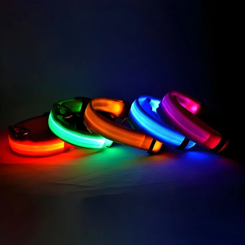 Glow In The Dark Dog Collar