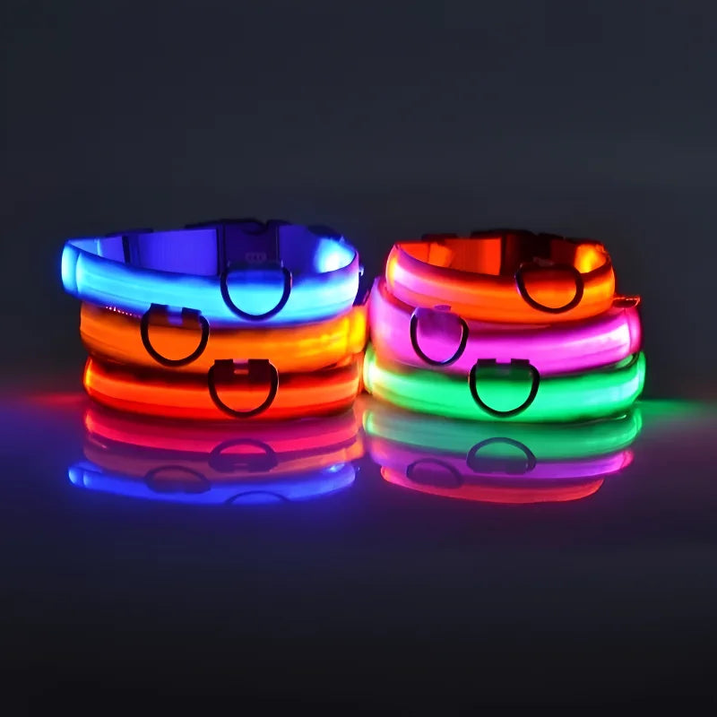 Glow In The Dark Dog Collar