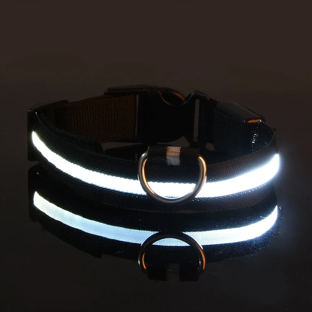 Glow In The Dark Dog Collar