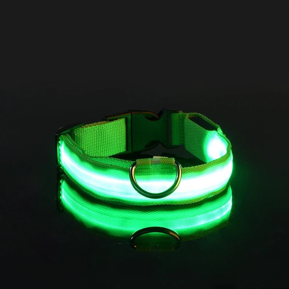 Glow In The Dark Dog Collar