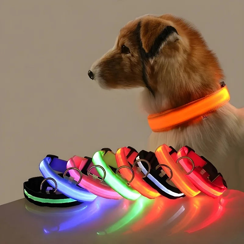 Glow In The Dark Dog Collar