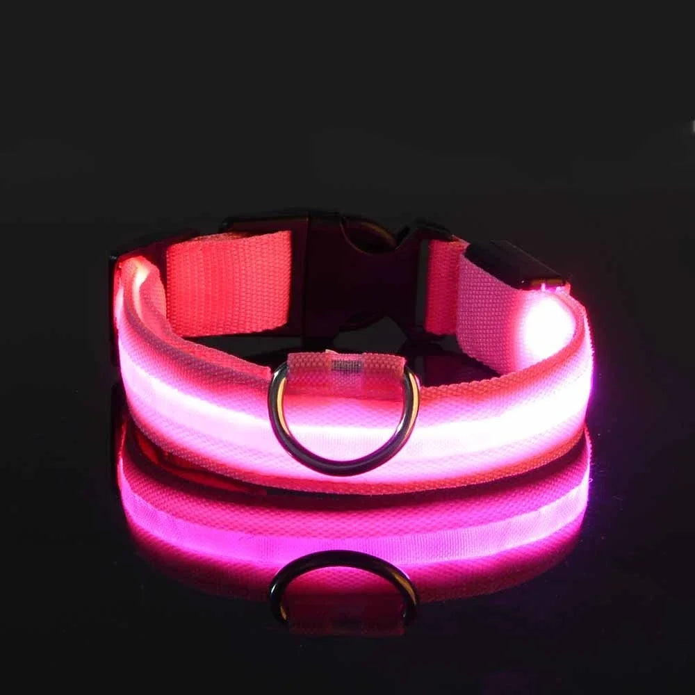 Glow In The Dark Dog Collar