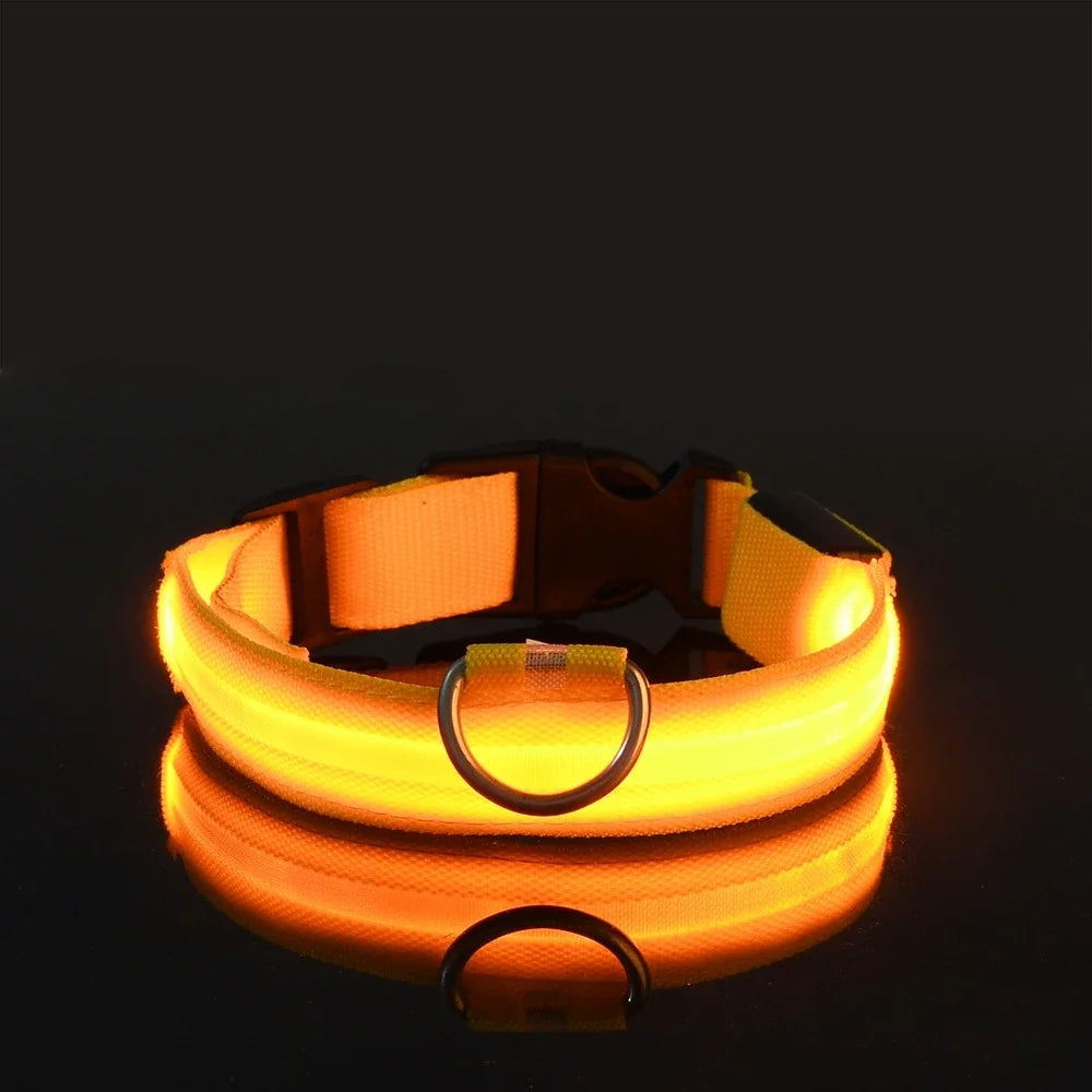 Glow In The Dark Dog Collar